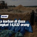 Angka korban di Gaza meningkat 14,532 orang