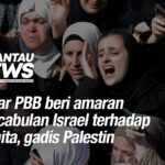 Pakar PBB beri amaran pencabulan Israel terhadap wanita, gadis Palestin